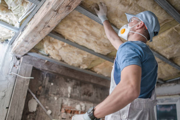 Best Insulation for Specific Applications in Lyons, IL